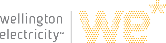 WE logo white background